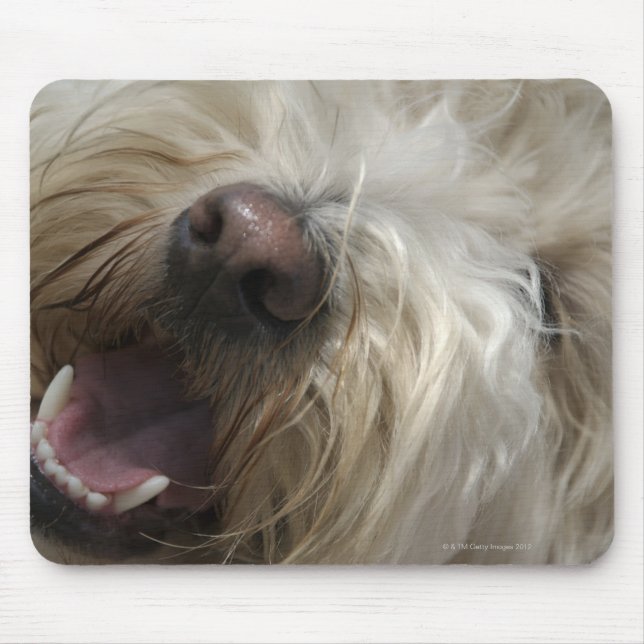 Canada, British Columbia, Vancouver Mouse Pad (Front)