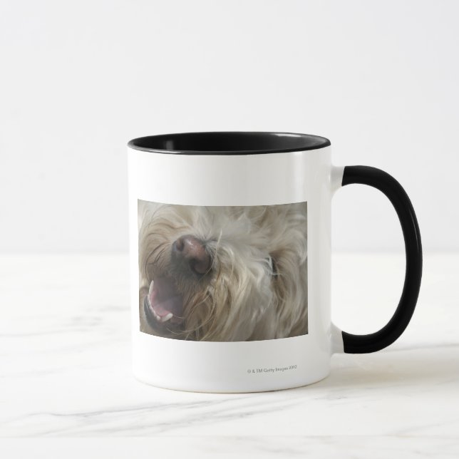 Canada, British Columbia, Vancouver Mug (Right)