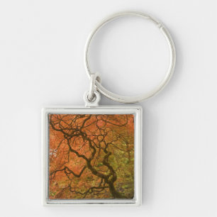 CANADA, British Columbia, Victoria. Autumn 2 Keychain