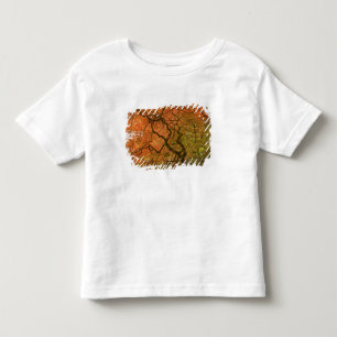 CANADA, British Columbia, Victoria. Autumn 2 Toddler T-shirt