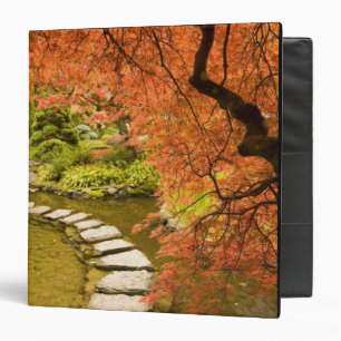 CANADA, British Columbia, Victoria. Autumn Binder