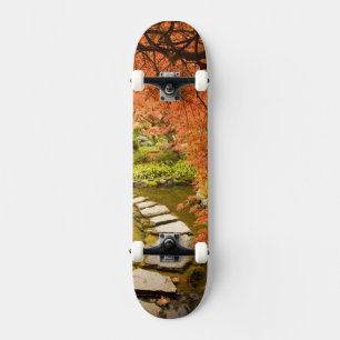 CANADA, British Columbia, Victoria. Autumn Skateboard