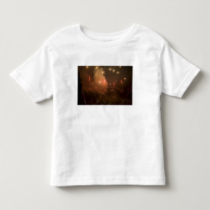 CANADA, British Columbia, Victoria. Summer Toddler T-shirt