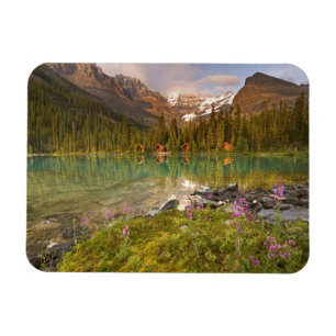 Canada, British Columbia, Yoho National Park. 2 Magnet