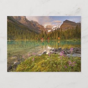 Canada, British Columbia, Yoho National Park. 2 Postcard