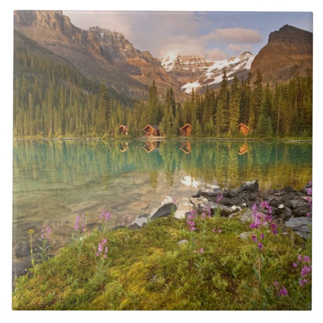 Canada, British Columbia, Yoho National Park. 2 Tile (Front)