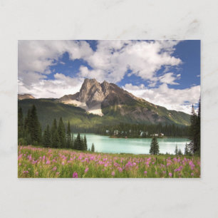 Canada, British Columbia, Yoho National Park. 3 Postcard