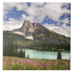 Canada, British Columbia, Yoho National Park. 3 Tile