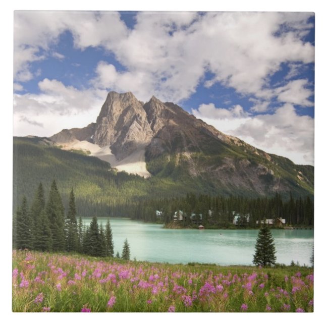 Canada, British Columbia, Yoho National Park. 3 Tile (Front)