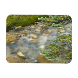 Canada, British Columbia, Yoho National Park. 4 Magnet