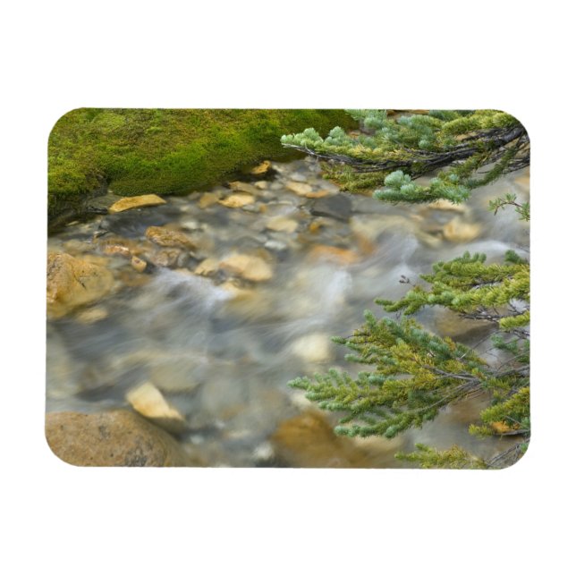 Canada, British Columbia, Yoho National Park. 4 Magnet (Horizontal)