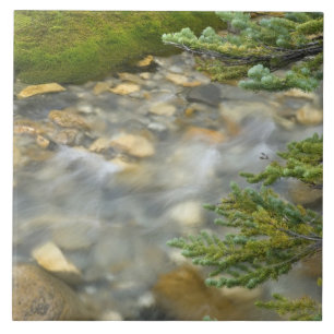 Canada, British Columbia, Yoho National Park. 4 Tile