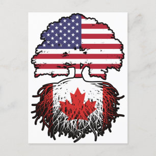 Canada Canadian American USA Tree Roots Flag Postcard