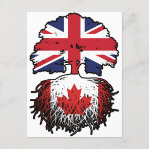 Canada Canadian British UK Tree Roots Flag Postcard
