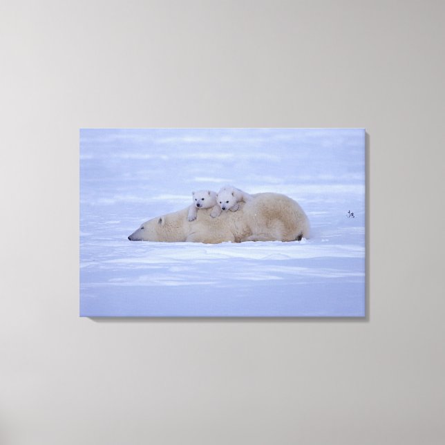 Canada Canvas Print (Front)