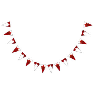 Canada Day Bunting Banners Canada Decorations 