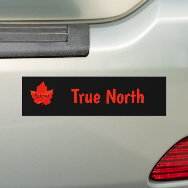 Canada Day True North Red Black Maple Leaf Bumper Sticker (On Car)