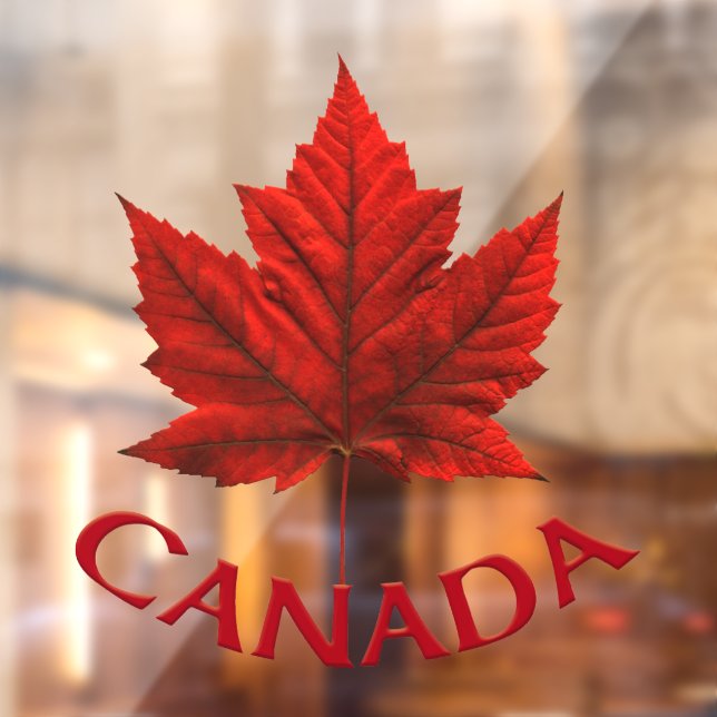 Canada Decal Canada Maple Leaf Window Decal (Sheet 2)