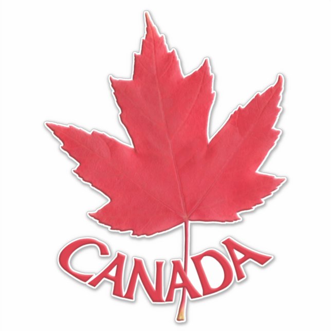 Canada Decals Maple Leaf Window Decal Stickers (Front)