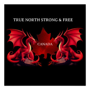 CANADA DOUBLE DRAGONS POSTER