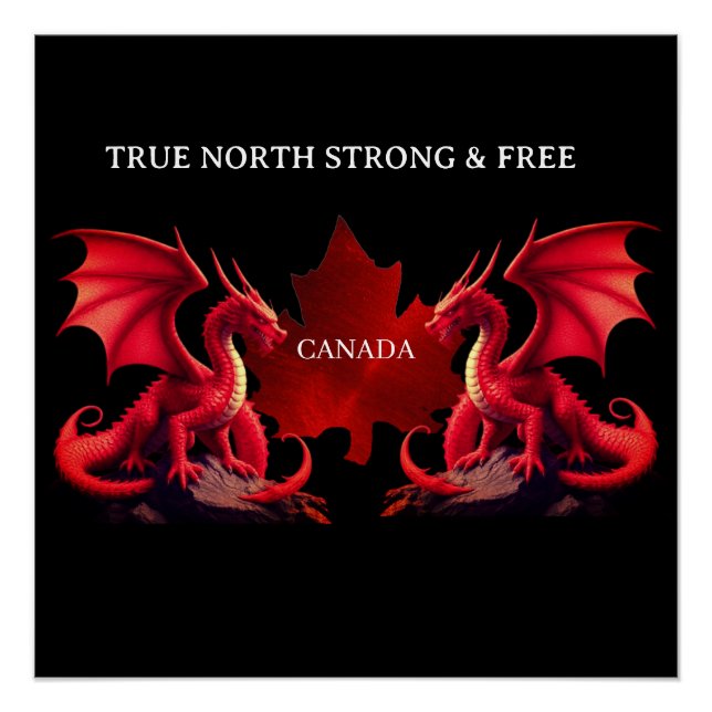 CANADA DOUBLE DRAGONS POSTER (Front)