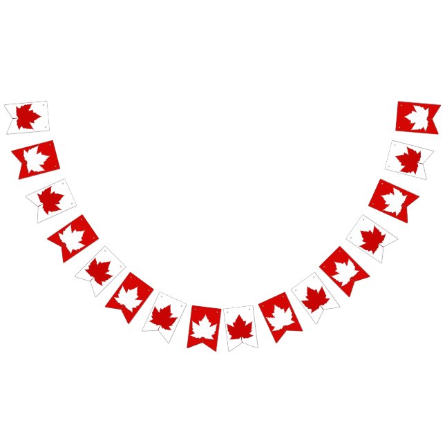 Canada Flag Bunting Banners Canada Day Decorations (All)
