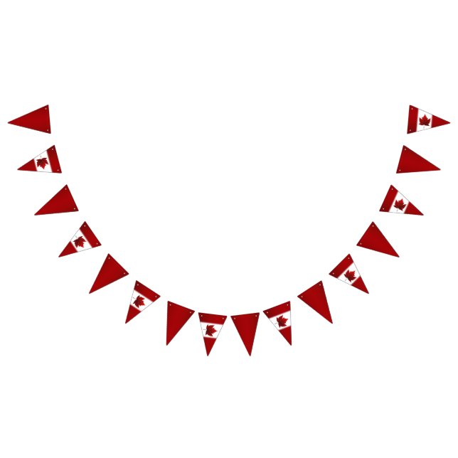 Canada Flag Bunting Banners Canada Day Decorations (All)