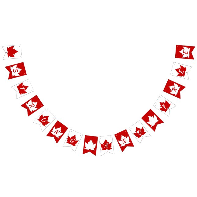 Canada Flag Bunting Banners Canada Day Decorations (All)