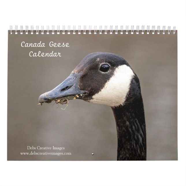 Canada Geese 2026 Calendar (Cover)