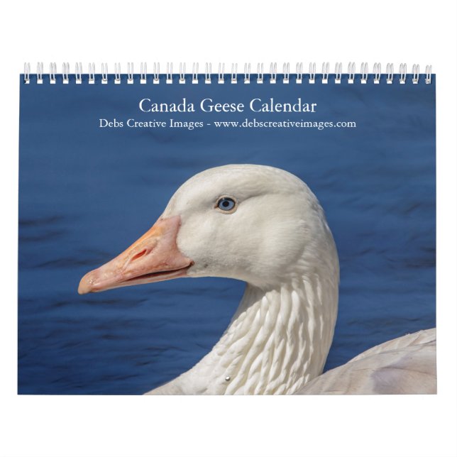 Canada Geese 2026 Calendar (Cover)