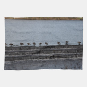 Canada Geese All In A Row Kitchen Towel
