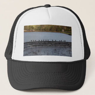 Canada Geese All In A Row Trucker Hat
