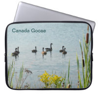Canada Geese And Cattails
