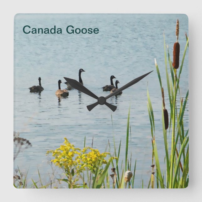 Canada Geese And Cattails Square Wall Clock (Front)