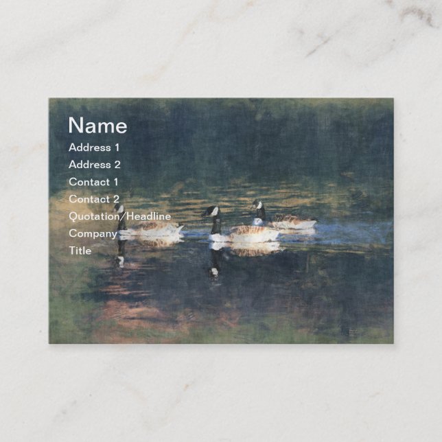 Canada Geese  Business Card (Front)
