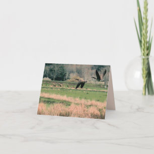 Canada Geese & Elk Thank You Card