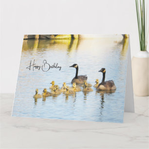 Canada Geese & Goslings - Birthday Card