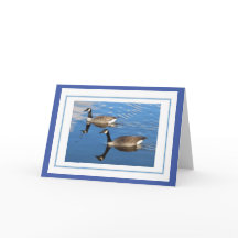 Canada Geese Greetings Card