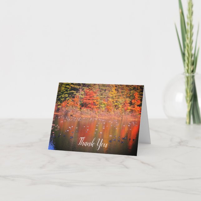 Canada Geese In Autumn Nature Thank You Card (Front)