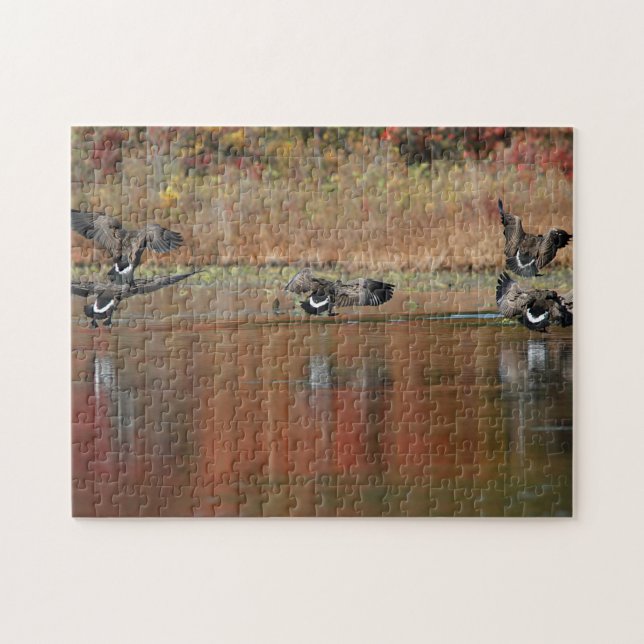 Canada geese in flight jigsaw puzzle (Horizontal)