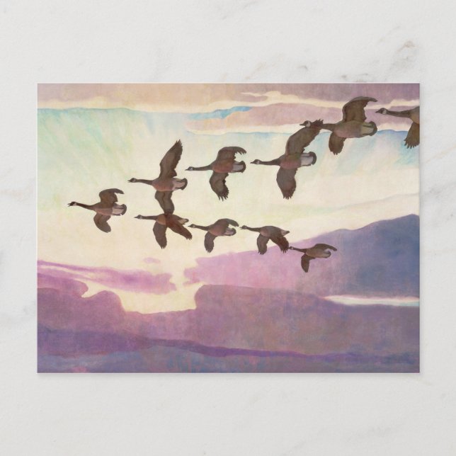 Canada Geese in Spring by Newell Convers Wyeth Postcard (Front)