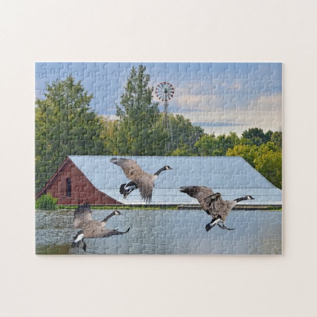 Canada Geese Landing On The Pond Jigsaw Puzzle (Horizontal)