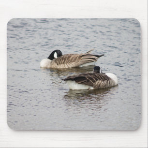 Canada Geese Mouse Pad