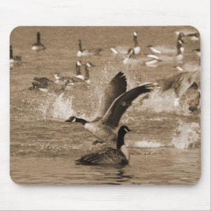Canada Geese Mouse Pad