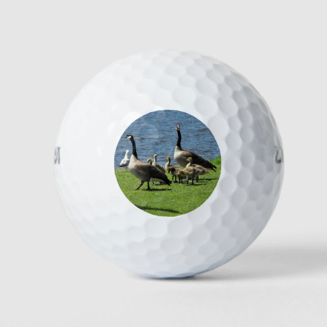 Canada Geese on the Grass by the Water Golf Ball (Front)