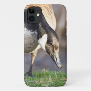 Canada Goos iPhone 11 Case