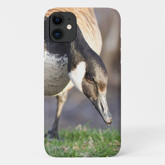 Canada Goos Case-Mate iPhone Case (Back)