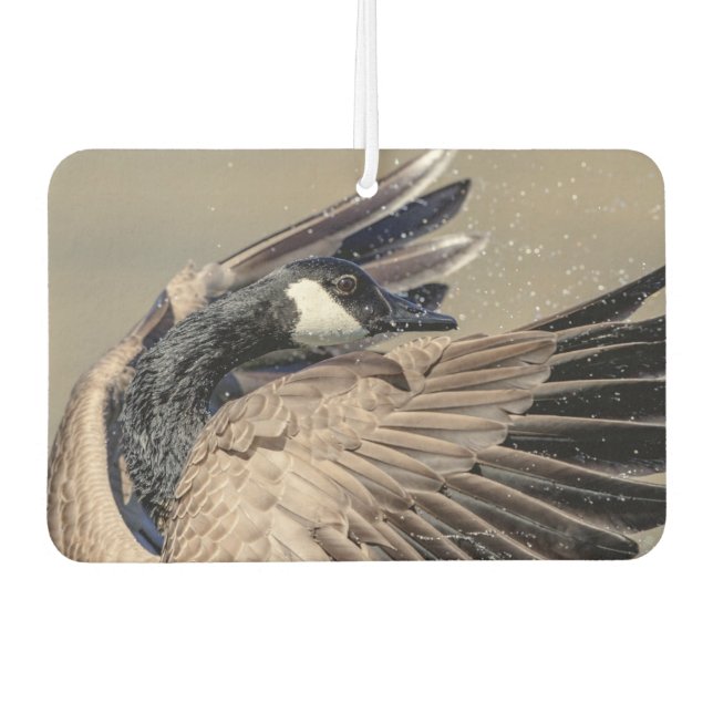 Canada Goose Air Freshener (Front)