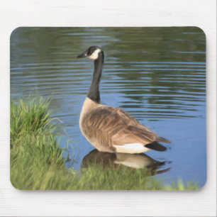 Canada Goose Animal Art Mouse Pad
