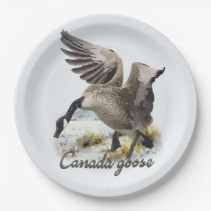 Canada Goose, Art Paper Plate
